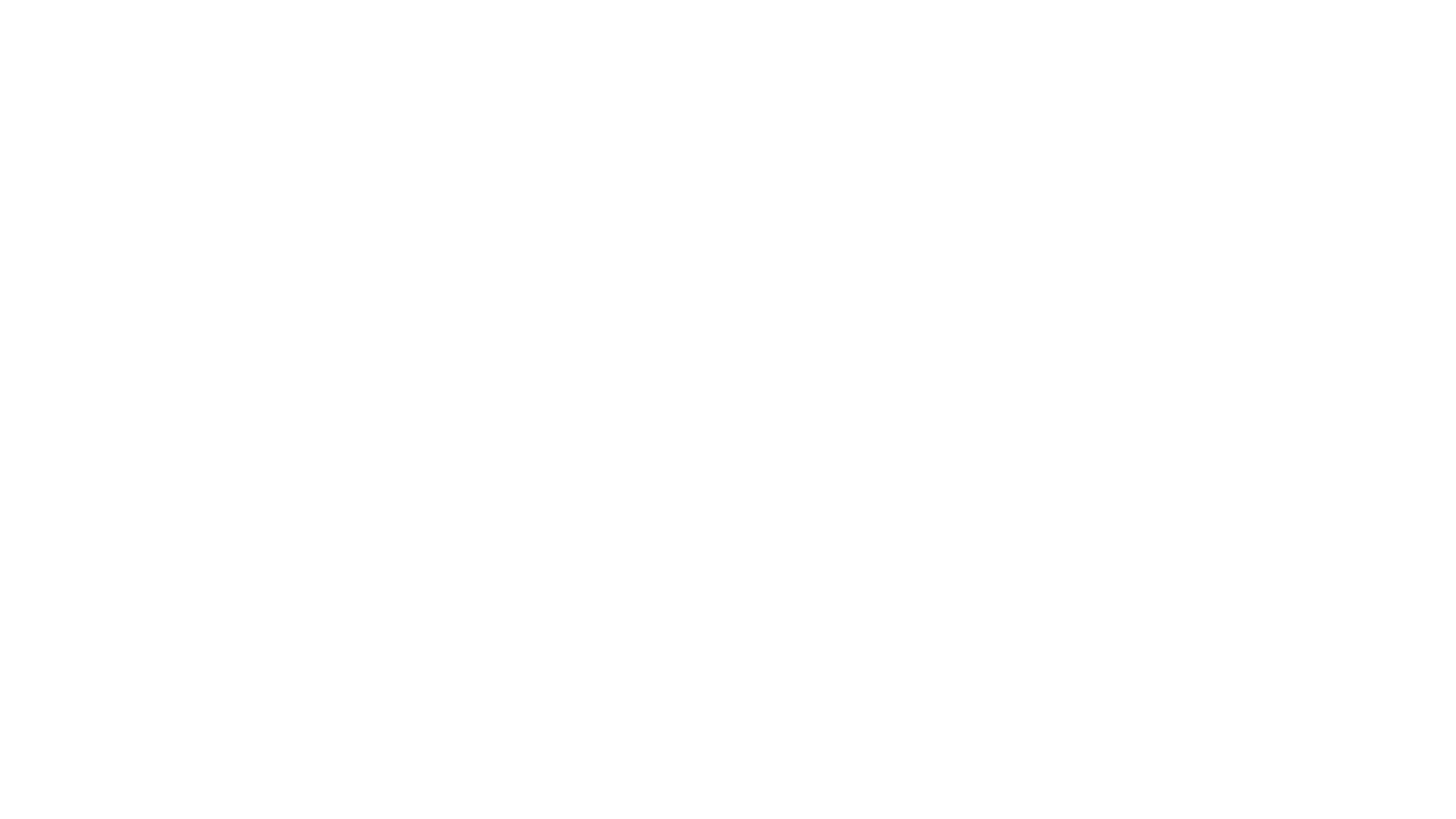Société de consultance IT en Belgique
